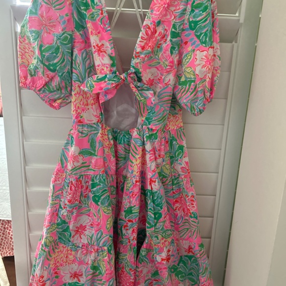 Lilly Pulitzer dress - Picture 2 of 2